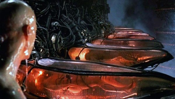 Neo wakes up from his pod in The Matrix, film.