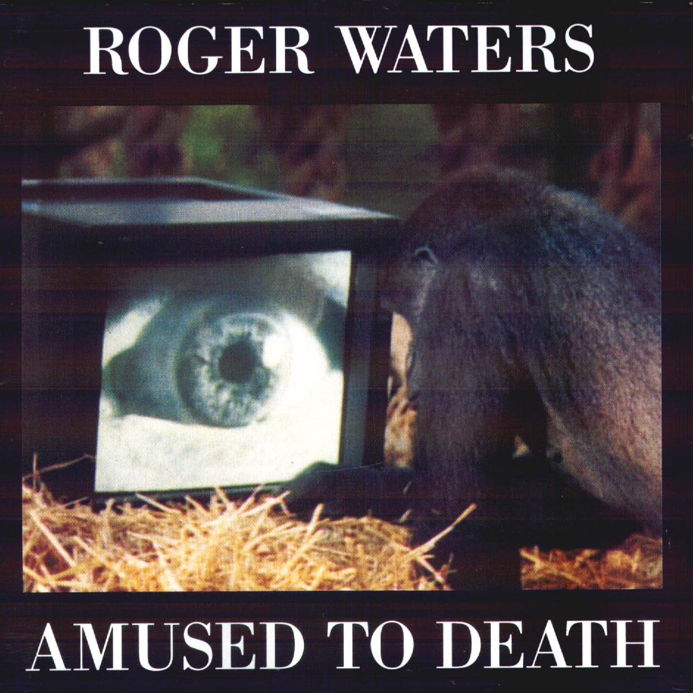 Album cover with a monkey watching TV.